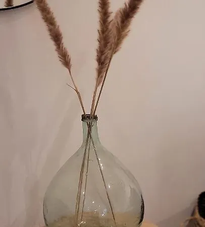 Effet 1 Appartement *