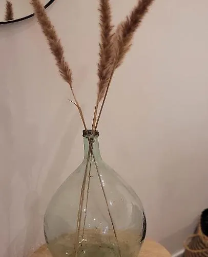 Effet 1 Appartement *